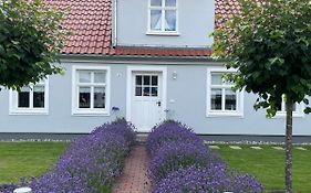 Haus Vicus