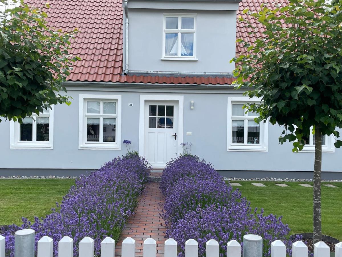 Haus Vicus Apartment Greifswald Exterior photo